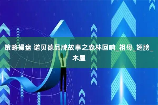 策略操盘 诺贝德品牌故事之森林回响_祖母_翅膀_木屋