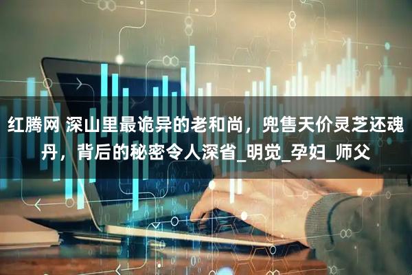 红腾网 深山里最诡异的老和尚，兜售天价灵芝还魂丹，背后的秘密令人深省_明觉_孕妇_师父
